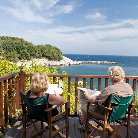 Victoria'S Guesthouse Damúhari Kültér fotó