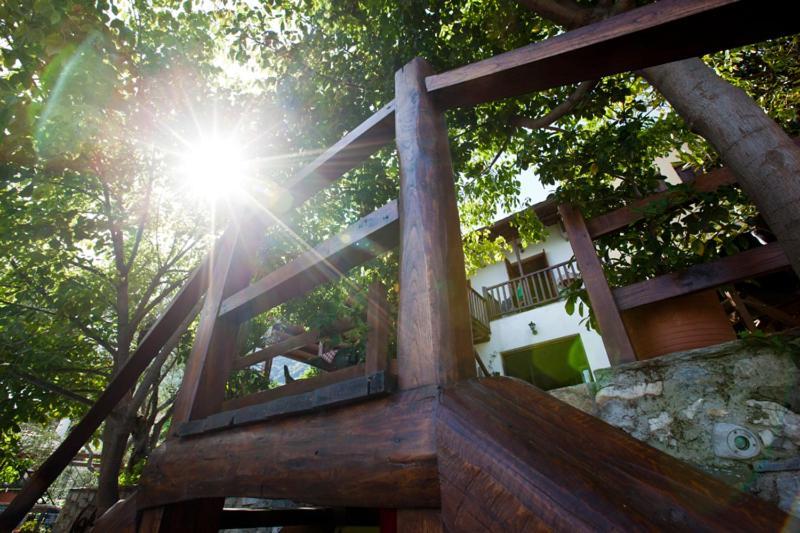 Victoria'S Guesthouse Damúhari Kültér fotó
